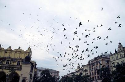 Krakow30