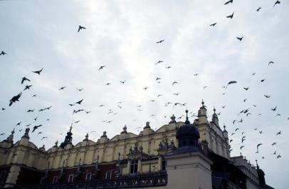 Krakow32