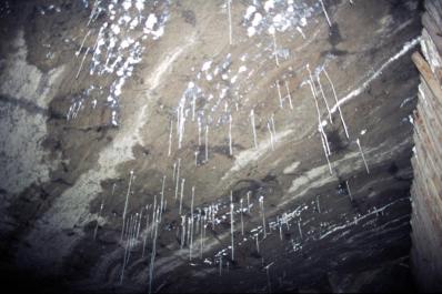 Wieliczka06