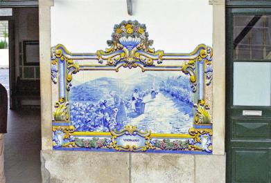 Duro25