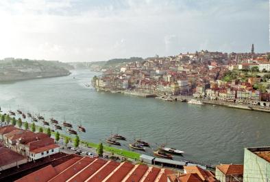 Porto59