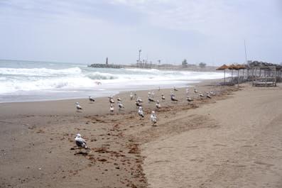 Marbella10