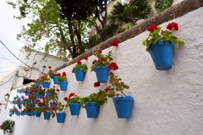 Marbella24