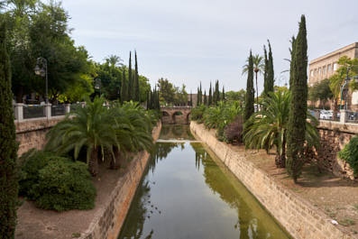 Palma01
