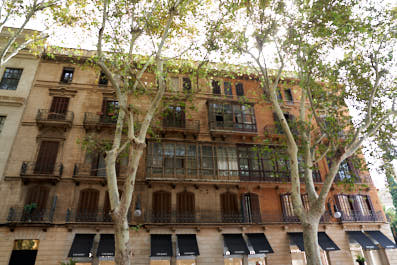 Palma04