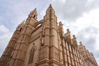 Palma06