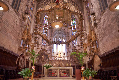 Palma11