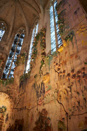 Palma14