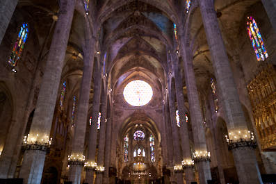 Palma17