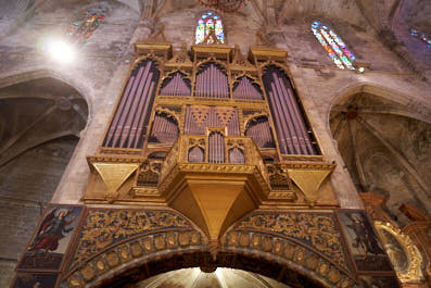 Palma18