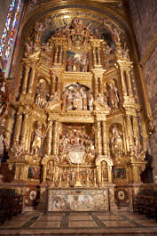 Palma19