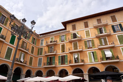 Palma25