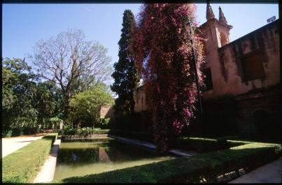 Sevilla53