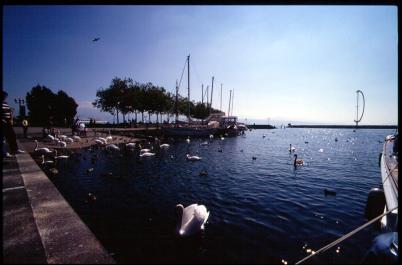 Lausanne03