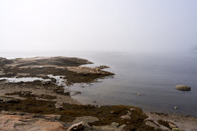 Tadoussac07