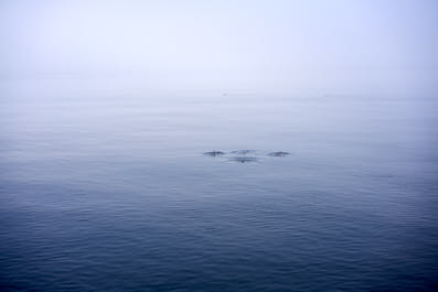 Tadoussac08