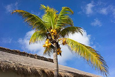 Akumal03