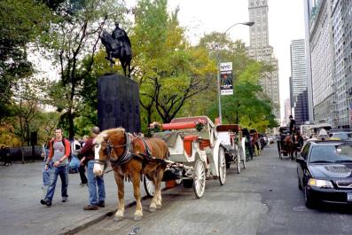 NYC064