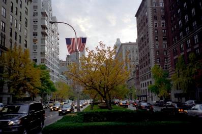 NYC079