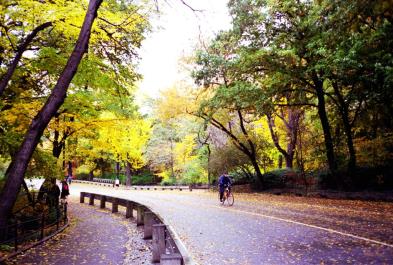 NYC125