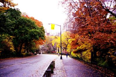 NYC126