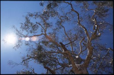 Australia - The Greater Blue Mountains Area 