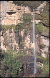 Sydney18