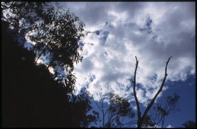 Sydney20