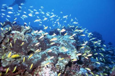 ChristmasIsland06