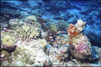 ChristmasIsland12