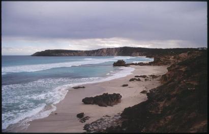 KangarooIsland10