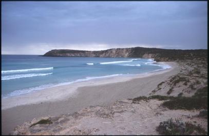 KangarooIsland12