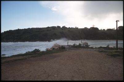 KangarooIsland15