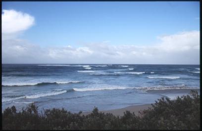 KangarooIsland16