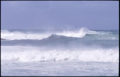 KangarooIsland17