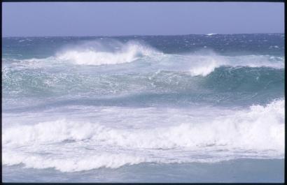 KangarooIsland18