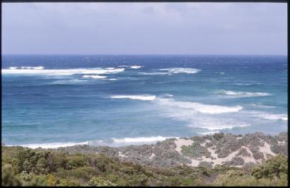 KangarooIsland21