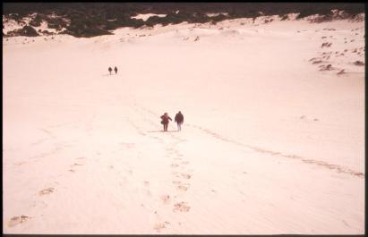 KangarooIsland22