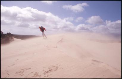 KangarooIsland24