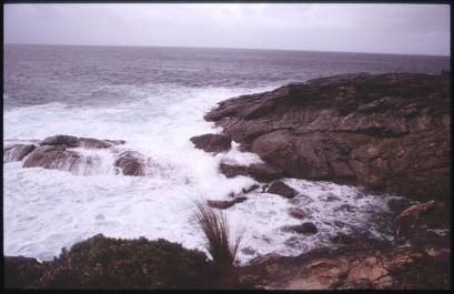 KangarooIsland25