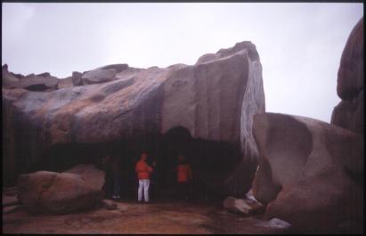 KangarooIsland29