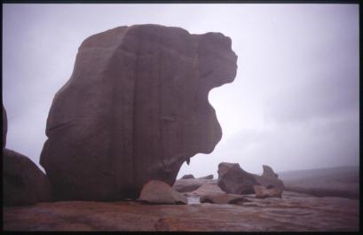 KangarooIsland30
