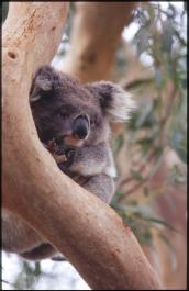 Melbourne06