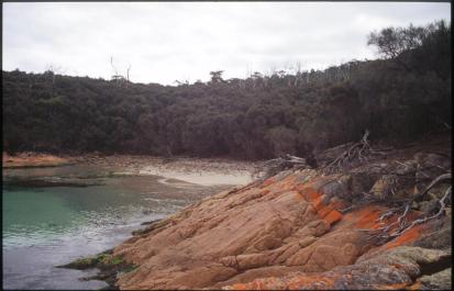 Tasmania10