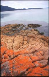 Tasmania12