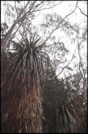 Tasmania21