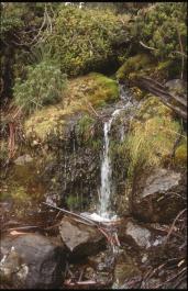 Tasmania23