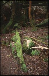 Tasmania27