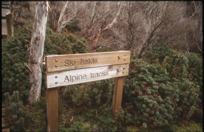 Tasmania33