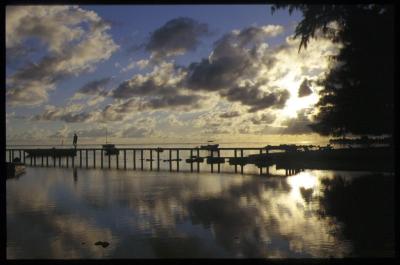 Polynesia06